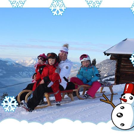 Apart Silvana Zell am Ziller Phòng bức ảnh