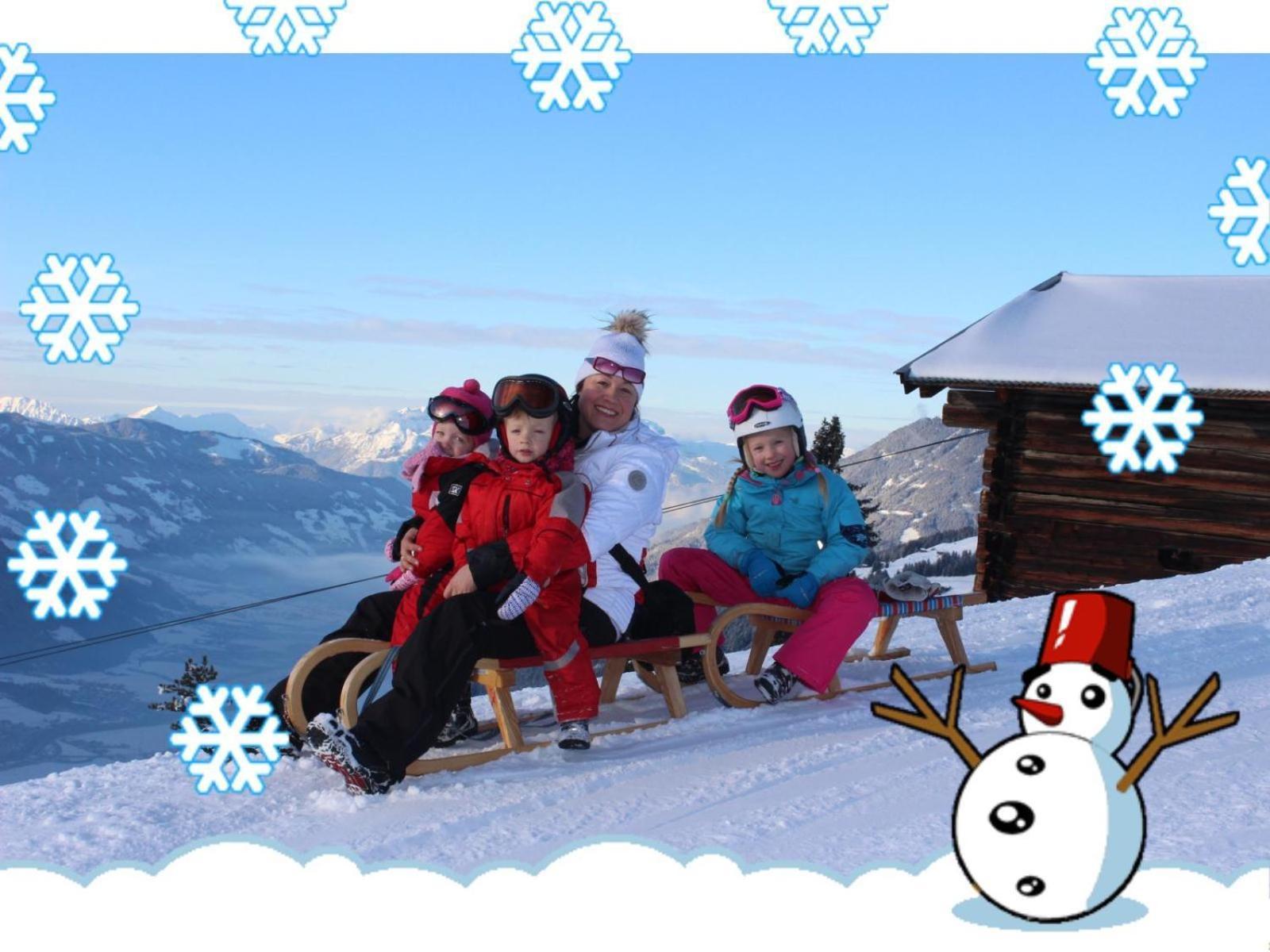 Apart Silvana Zell am Ziller Phòng bức ảnh